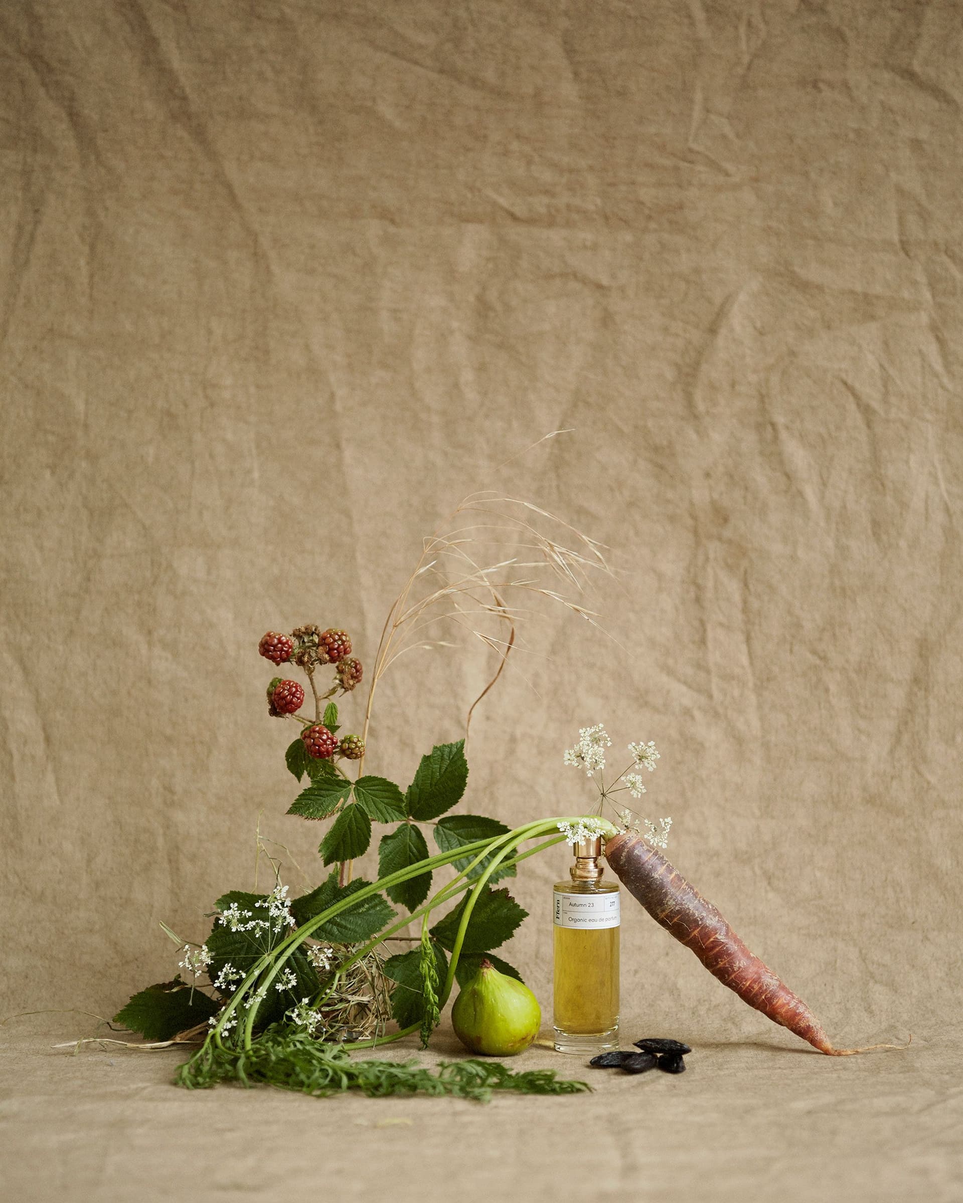 Autumn 23
