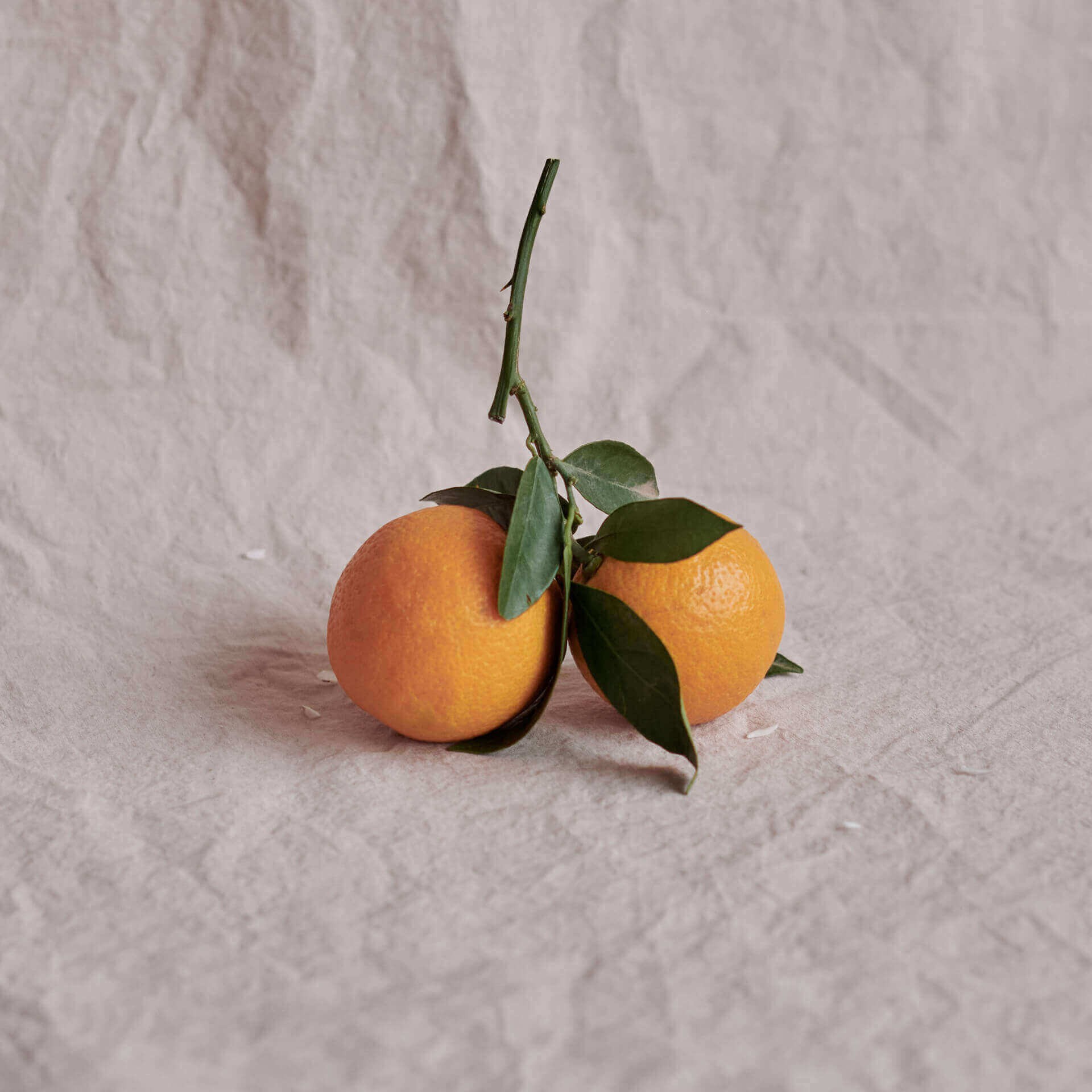 Organic Bitter orange rind, Ffern perfumery ingredient